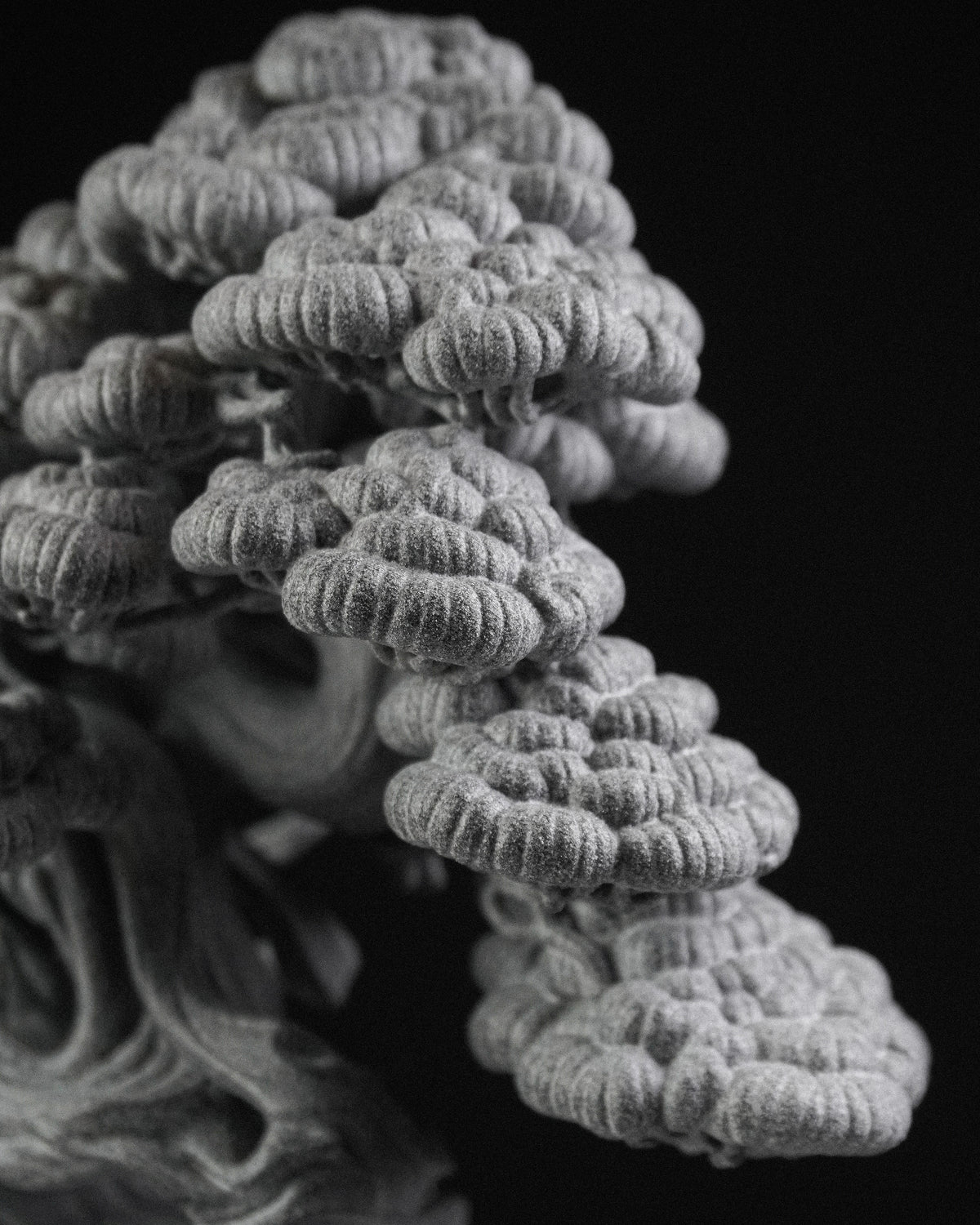 KN Bonsai Figure - Juniper 03
