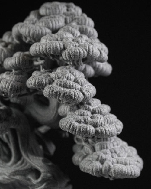 KN Bonsai Figure - Juniper 03