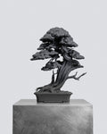 KN Bonsai Figure - Juniper 04