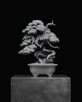 KN Bonsai Figure - Juniper 03